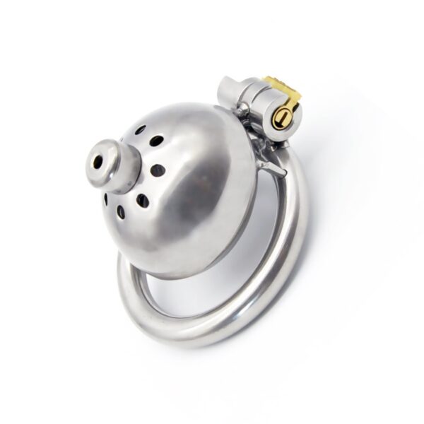 Steel Mini Dome